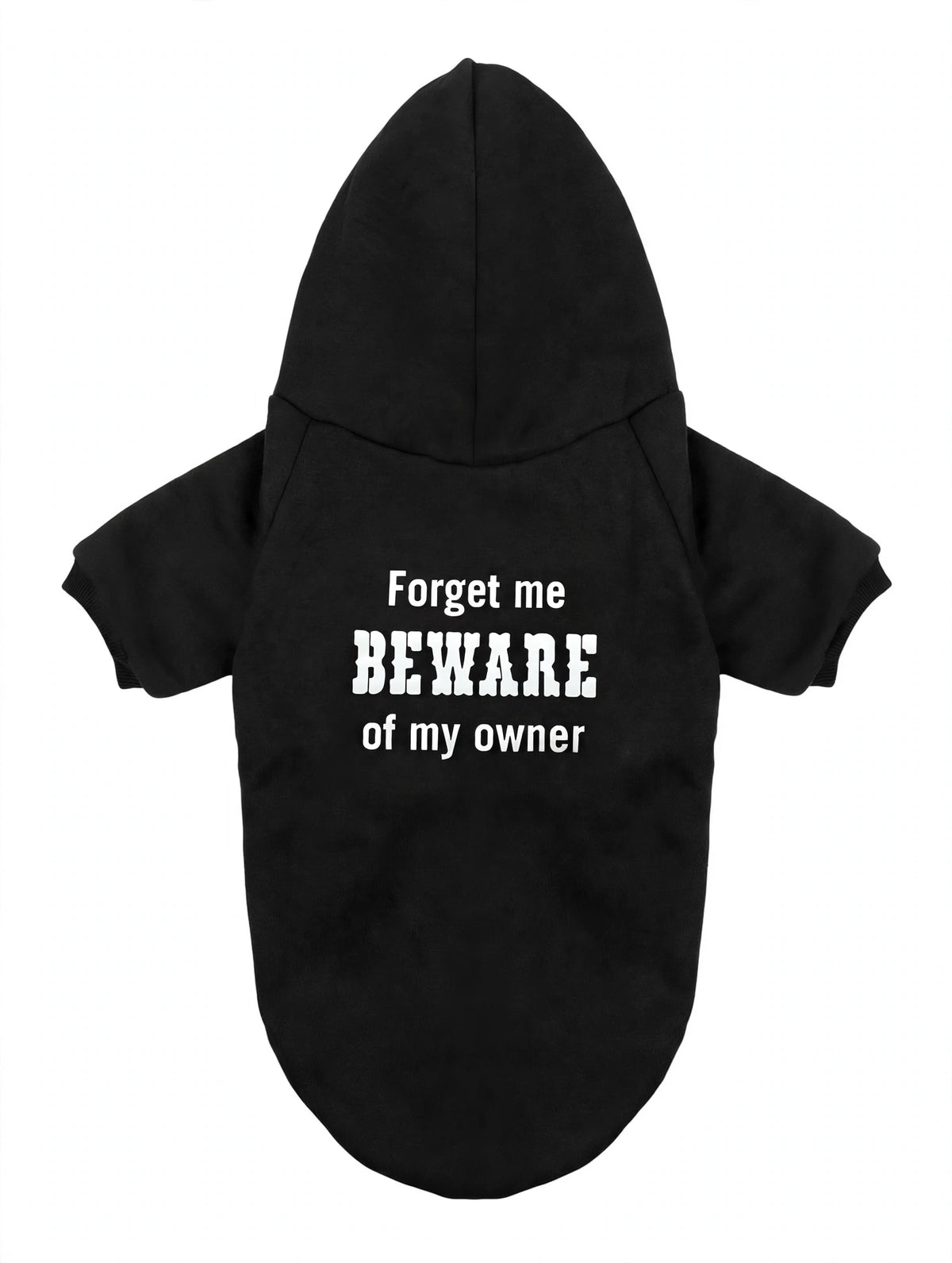 Beware of my owner Hoodie