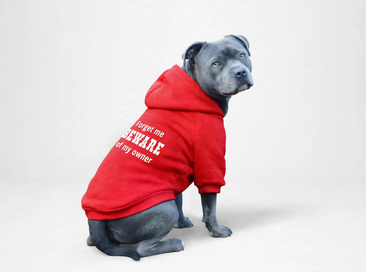 Beware of my owner Hoodie