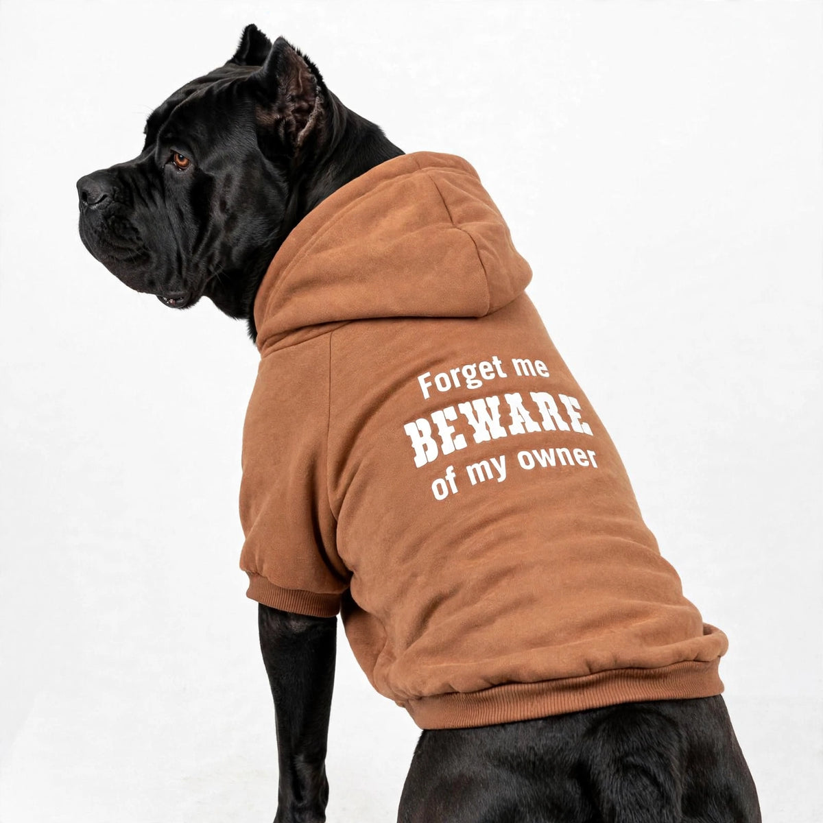 Beware of my owner Hoodie