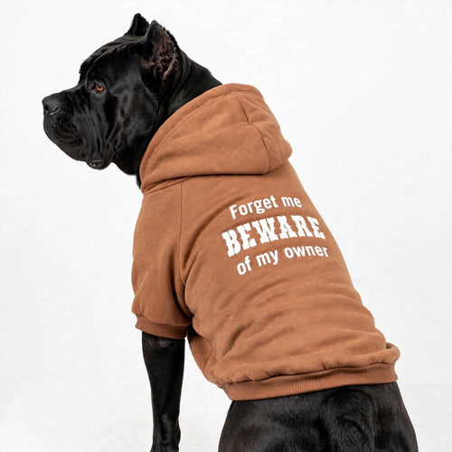 Beware of my owner Hoodie