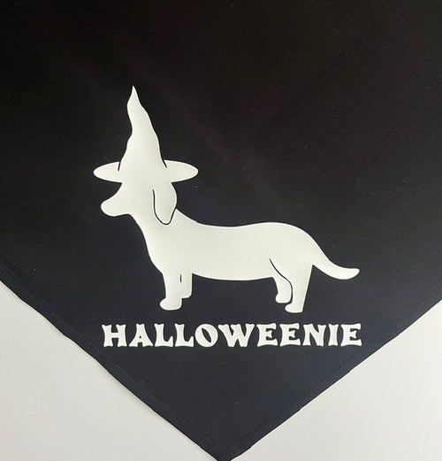 Bandana Halloweenie