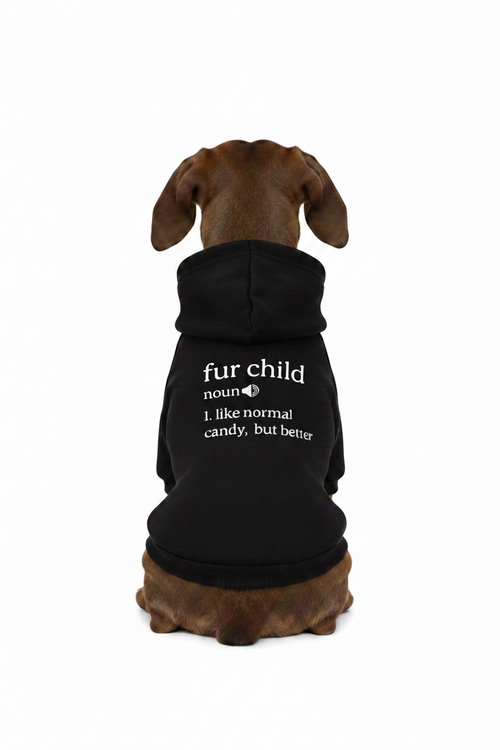Brown Dachshund in Fur Child Hoodie - Ultra White Studio