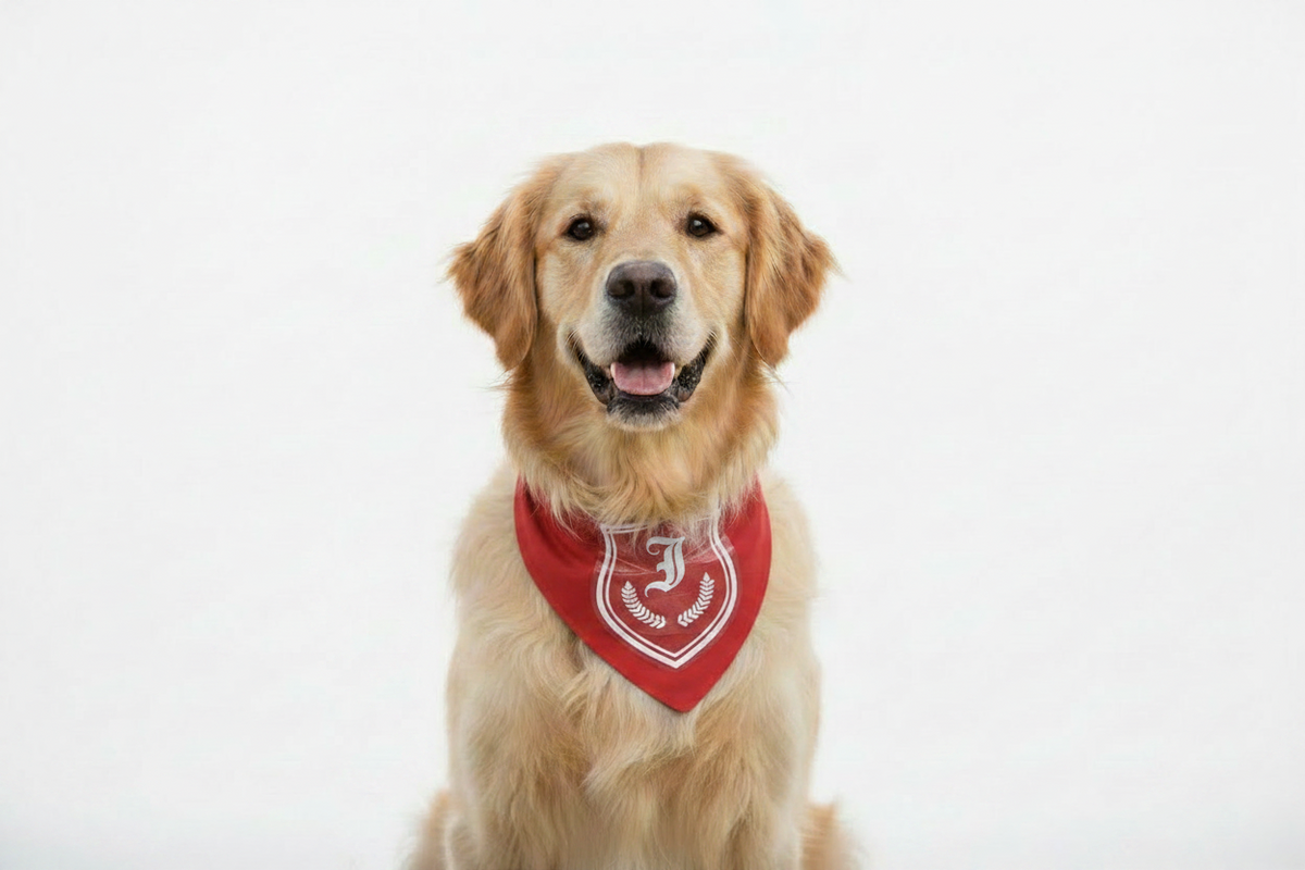 The Regal initial Bandana