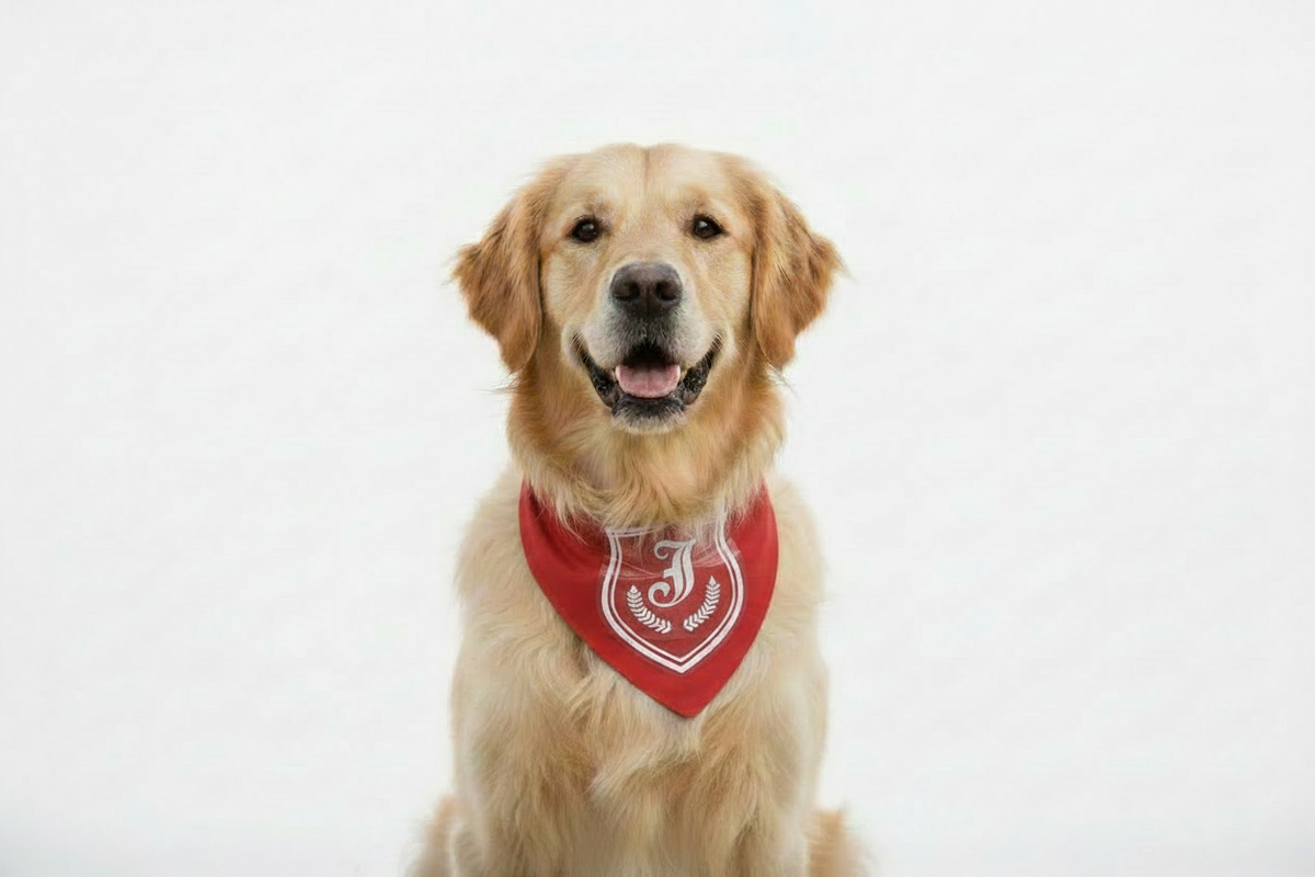 The Regal initial Bandana