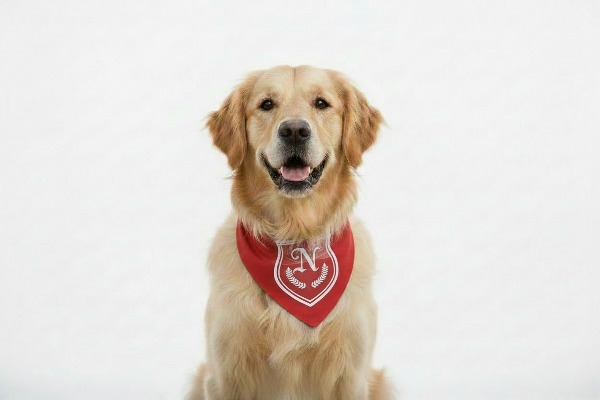 The Regal initial Bandana